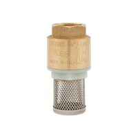 Tilbakeslagsventil YORK med sil 3/4"